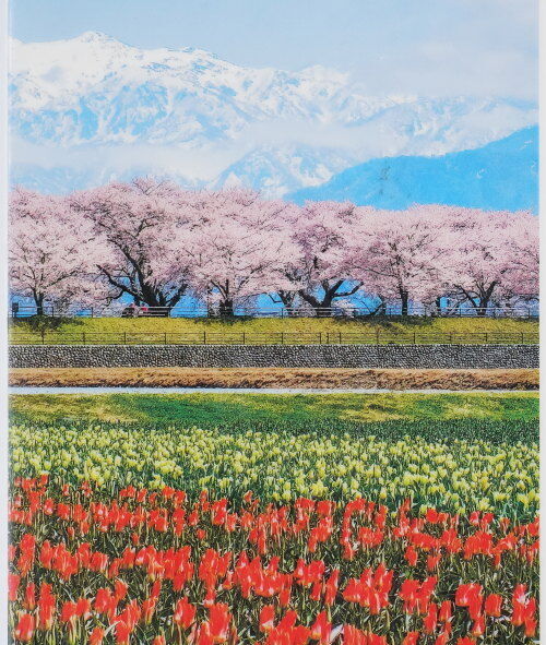 『美しい日本へ　花絶景の旅』